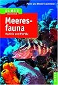 Meeresfauna Karibik und Florida