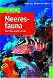 Meeresfauna Karibik und Florida