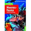 Meeresfauna Karibik und Florida