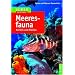 Meeresfauna Karibik und Florida