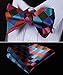 SetSense Men's Plaid Jacquard Woven Self Bow Tie Set