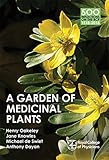 A garden of medicinal plants