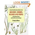 Colour Identification Guide to the Grasses, Sedges, Rushes and Ferns of the British Isles and North Western Europe