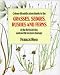 Colour Identification Guide to the Grasses, Sedges, Rushes and Ferns of the British Isles and North Western Europe
