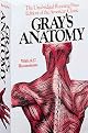 Gray's Anatomy