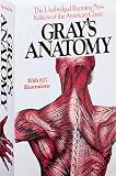 Gray's Anatomy