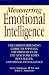 Measuring Emotional Intelligence: The Groundbreaking Guide to Applying the Principles of Emotional Intelligence