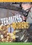 Termites and Borers: A Homeowner's Guide