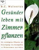 Gesunder leben mit Zimmerpflanzen.