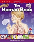 The human body