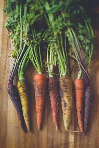 Carrot Bunch on Wood Board | Vegetable and Food Photograph | Rainbow Carrots