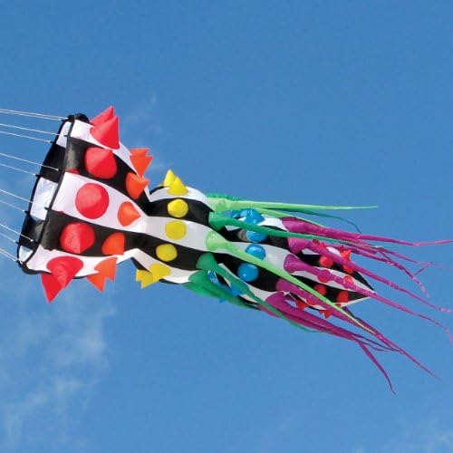 7-ft. Willi Koch Rainbow Cephalopod Inflatable Kite Accessory