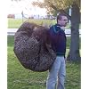 Leaf Net - Used Like a Tarp- Forms a Bag with a Pull String... 8 Ft. X 8 Ft .Spread