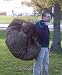Leaf Net - Used Like a Tarp- Forms a Bag with a Pull String... 8 Ft. X 8 Ft .Spread