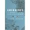 Exploit The Zen of Economics in Systems Development