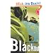 Blackout, Labyrinthe-Krimis
