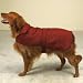Pet Supplies : Casual Canine Reversible Barn Coat for Dogs - Red - X-Large (XL)