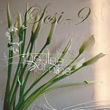 The Line of Nine [VINYL]