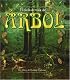 El Ciclo De Vida Del Arbol / Life cycle of a tree (Ciclo De Vida / the Life Cycle)