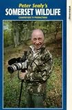 Peter Sealy's Somerset Wildlife