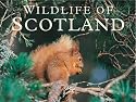 Wildlife of Scotland (Colin Baxter Gift Book)