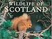 Wildlife of Scotland (Colin Baxter Gift Book)