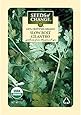 Seeds of Change Certified Organic Cilantro, Slow Bolt - 2 grams, 175 Seeds Pack