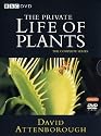 The Private Life of Plants [Region 2]