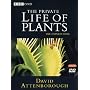 The Private Life of Plants [Region 2]