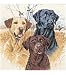 Great Hunting Dogs Cntd X-Stitch Kit