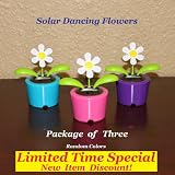 Solar Powered Dancing Daisy Flower - Package of Three (3) Flowers