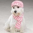 Dog Hat and Scarf Set - East Side Collection - Houndstooth Hat and Scarft Set - Pink and White - Small (S)