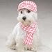 SMALL - PINK - Houndstooth Hat and Scarf Sets