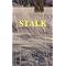 Fiction Set in Minnesota