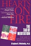 Hearts on Fire: The Tao of Meditation, the Birth of Quantum Psychology