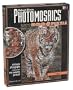 Photomosaic Puzzle: Tiger