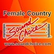 Vol. 1-Hits Of Alan Jackson