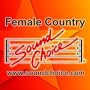 Vol. 1-Hits Of Alan Jackson