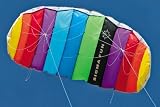 Sigma Fun 1.2 Dual line Airfoil Stunt Kite
