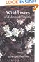 Wild Flowers of Tidewater Virginia