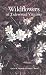 Book Wildflowers of Tidewater Virginia