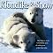 Gifts for Polar Bear lovers!