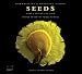 Seeds: Time Capsules of Life