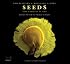 Seeds: Time Capsules of Life