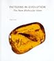 Patterns in Evolution: The New Molecular View ('scientific American' Library)