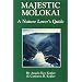 Majestic Molokai