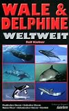 Wale und Delphine weltweit.