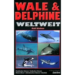 Wale und Delphine weltweit