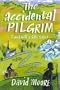 Accidental Pilgrim