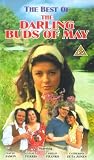 The Darling Buds Of May - The Best Of The Darling Buds Of May [1991]